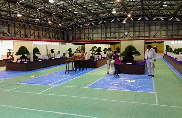 盆栽展示会の様子