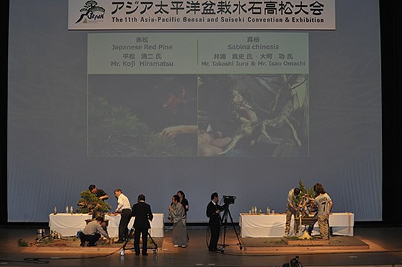 田中松寿園の盆栽職人