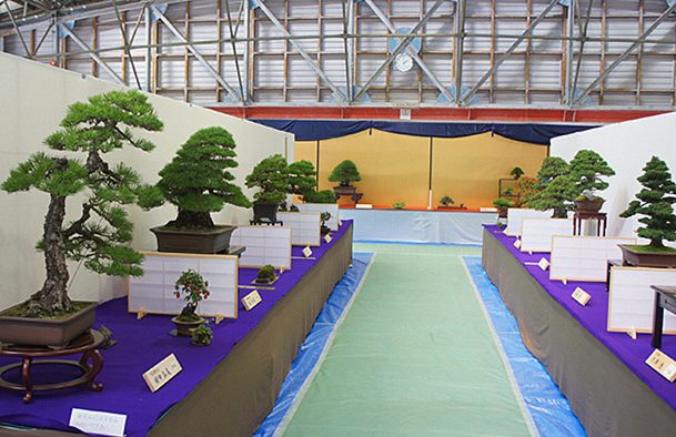 盆栽展示会の様子