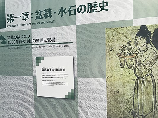 国際盆栽フェスティバル