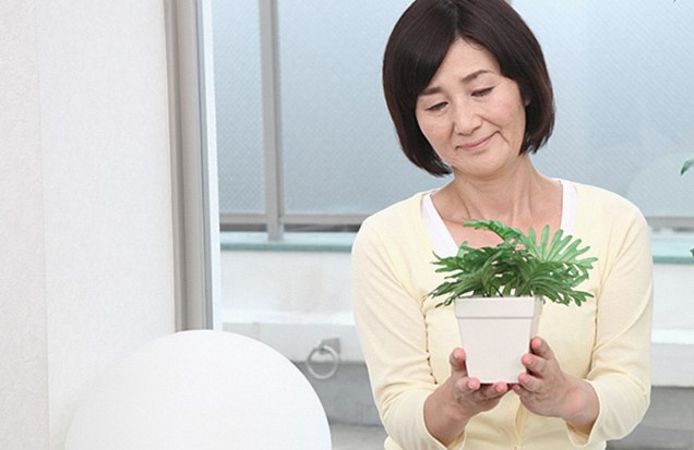 母の日