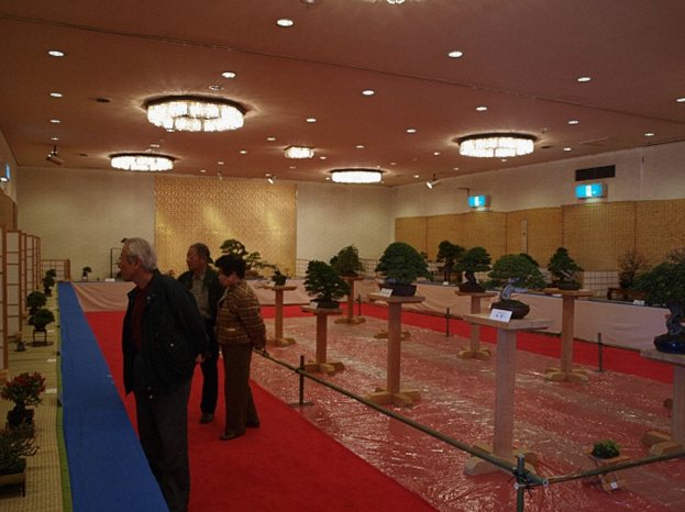 盆栽の展示会