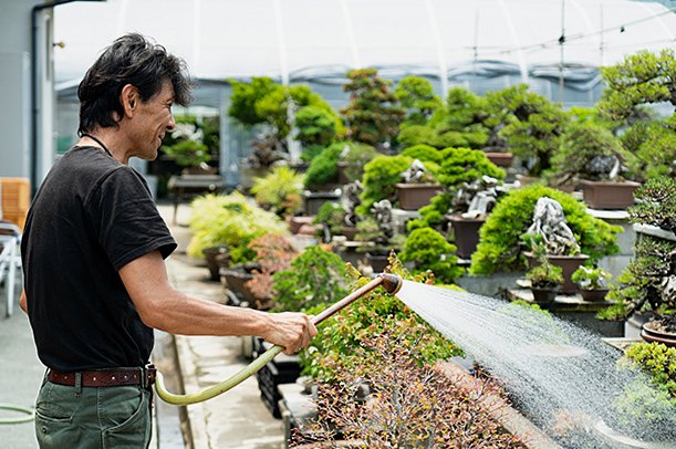 田中松寿園の盆栽職人