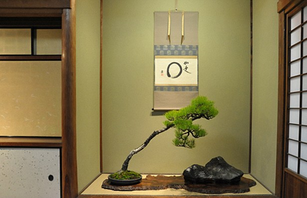 盆栽の飾り方