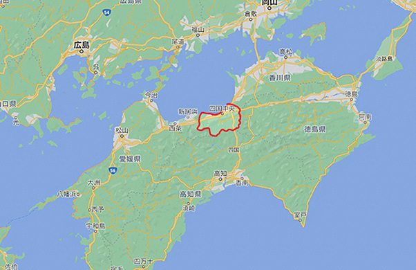 盆栽の産地 四国中央市