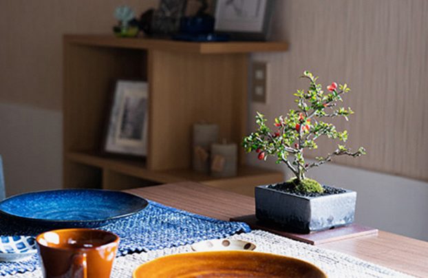 洋室での盆栽の飾り方
