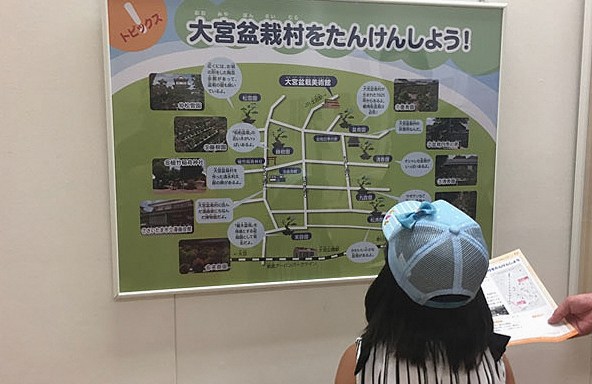 盆栽の展示作品