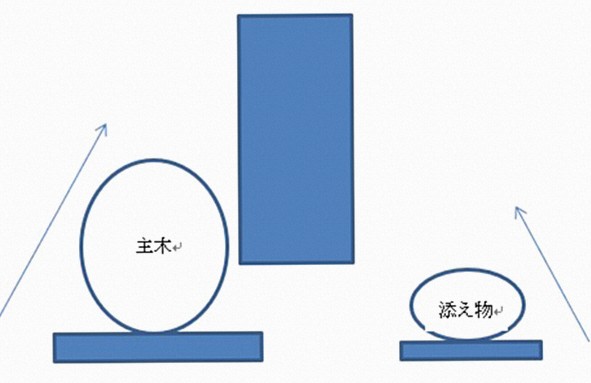 盆栽の置き場所と位置