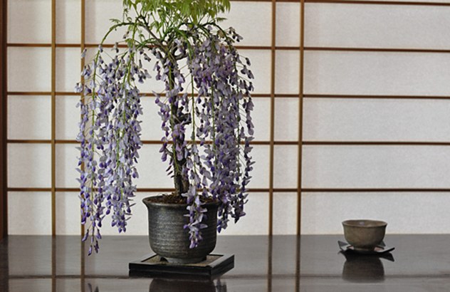 花物類