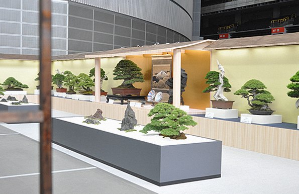 盆栽展示会の様子