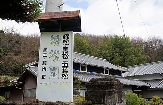 高松盆栽園 盆栽生産・育成拠点を訪ねて