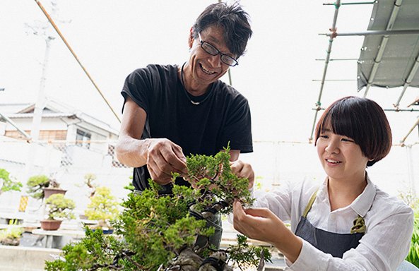 盆栽レッスン