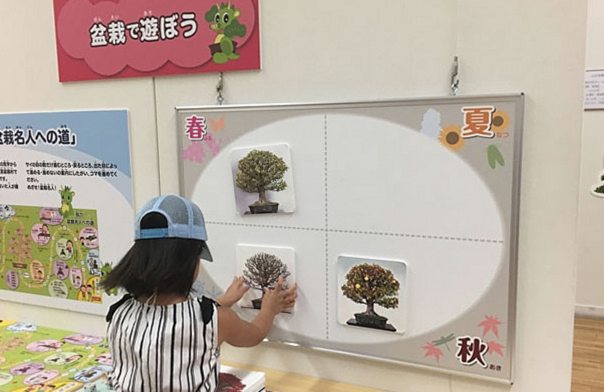 盆栽で楽しもう