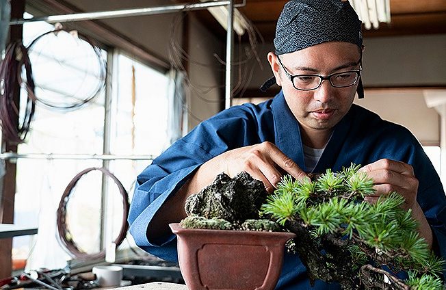 日本が誇る、日本人が知らない盆栽職人②「北谷隆一」ストーリー