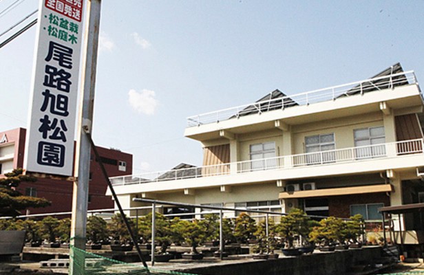 科学的に盆栽を考える 盆栽研究者 旭松園