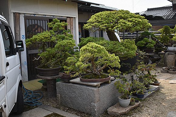 松風園