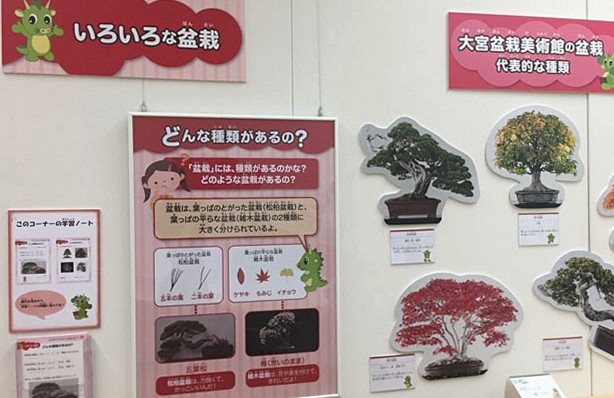 盆栽園を散策